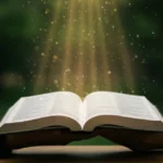 Pessoa lendo a Bíblia aberta sob um feixe de luz, simbolizando a busca por compreensão e sabedoria divina.